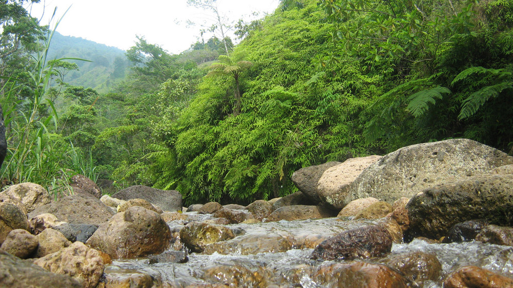 Bacadilla, Varsovia, Taulabe, Honduras