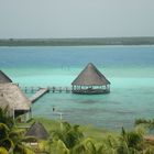 Bacalar