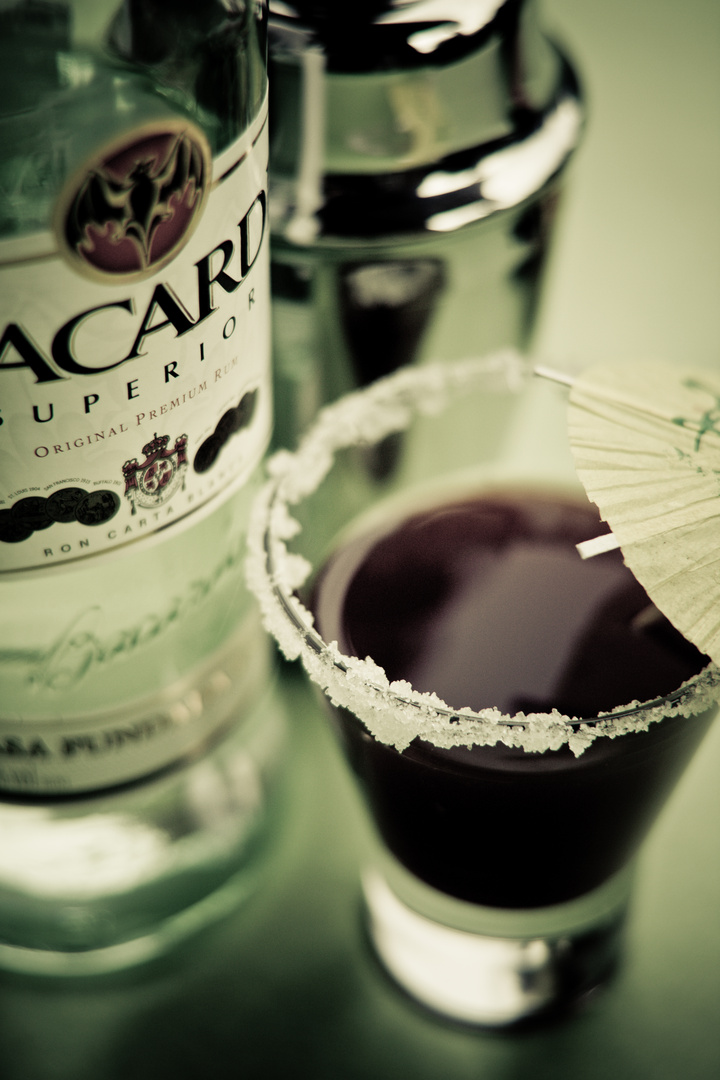 bacardi