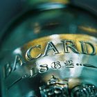 bacardi feeling II