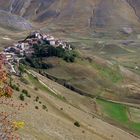 bacche di rosa canina a Castelluccio