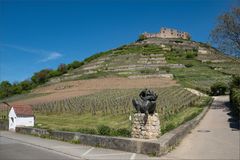 Bacchus behütet seinen Weinberg