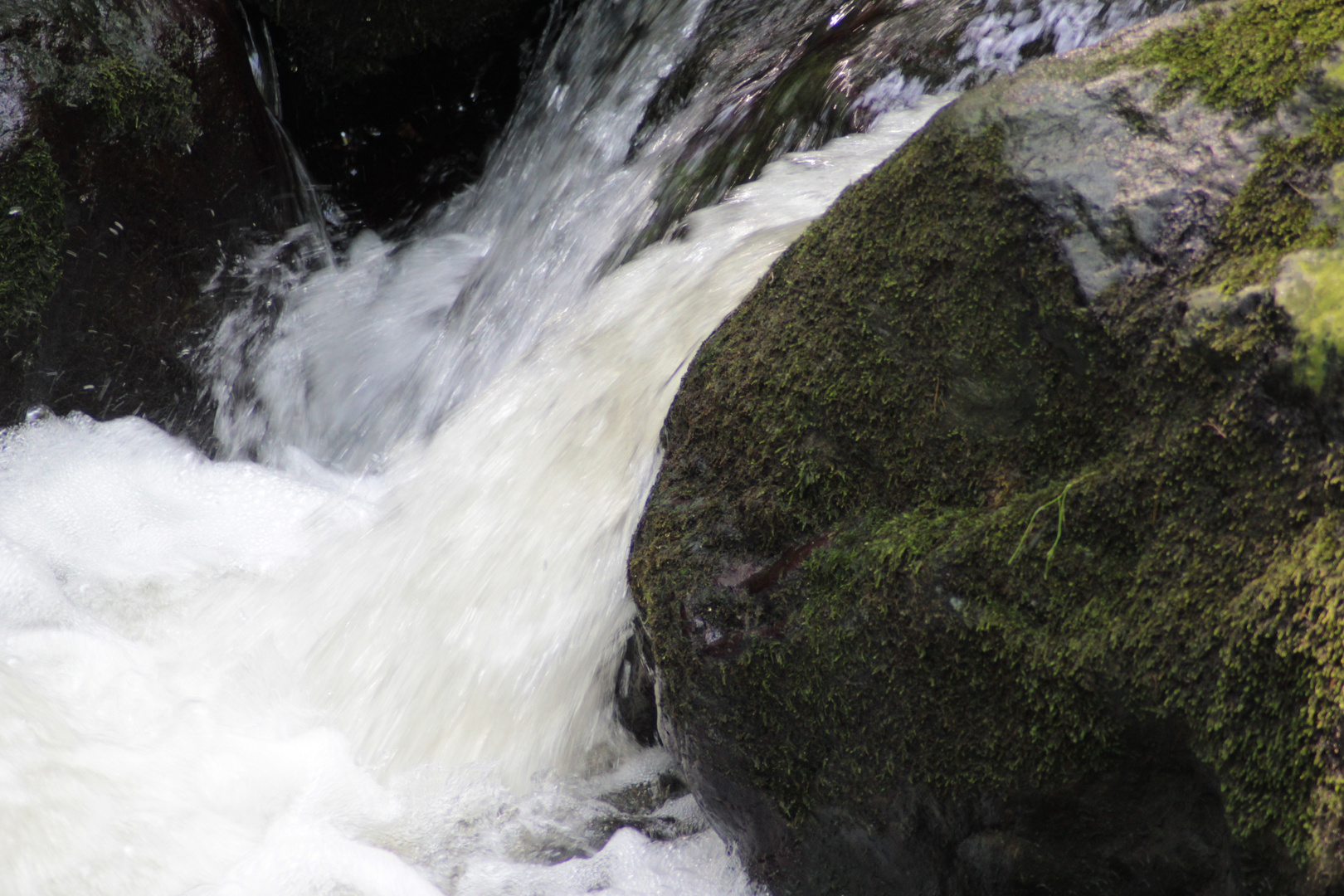 Bach Foto & Bild landschaft, bach, fluss & see, wald Bilder auf