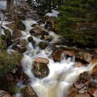 Bach am Brocken 2 (Harz Gebirge)