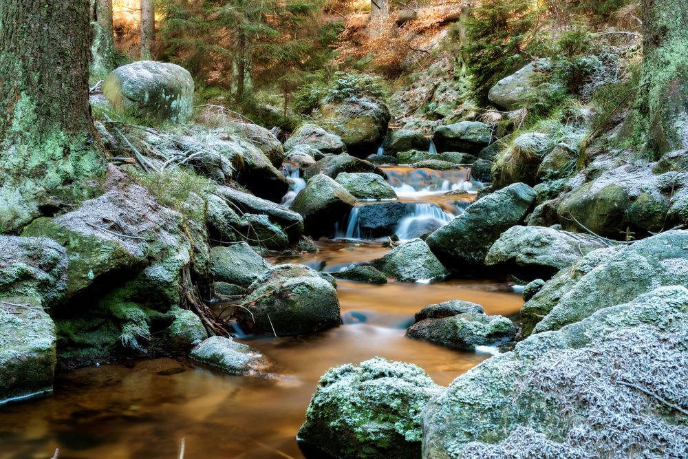 Bach am Brocken