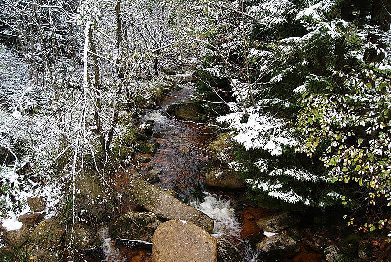 Bach am Brocken