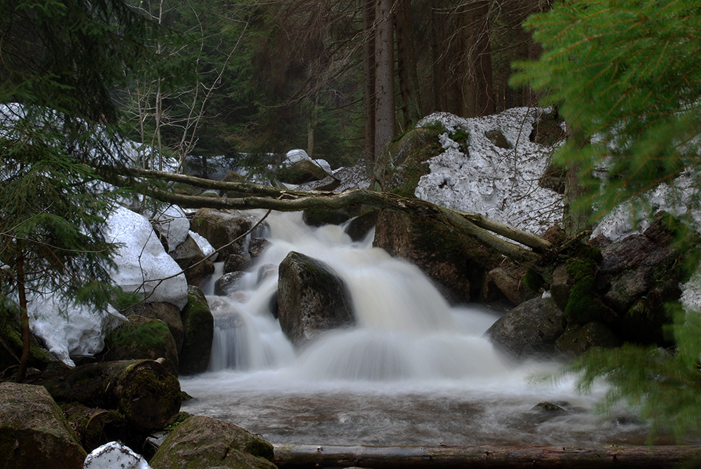 Bach am Brocken (Harz Gebirge)