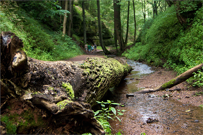 Bach am Ende der Drachenschlucht