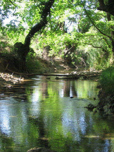 Bach auf Kreta