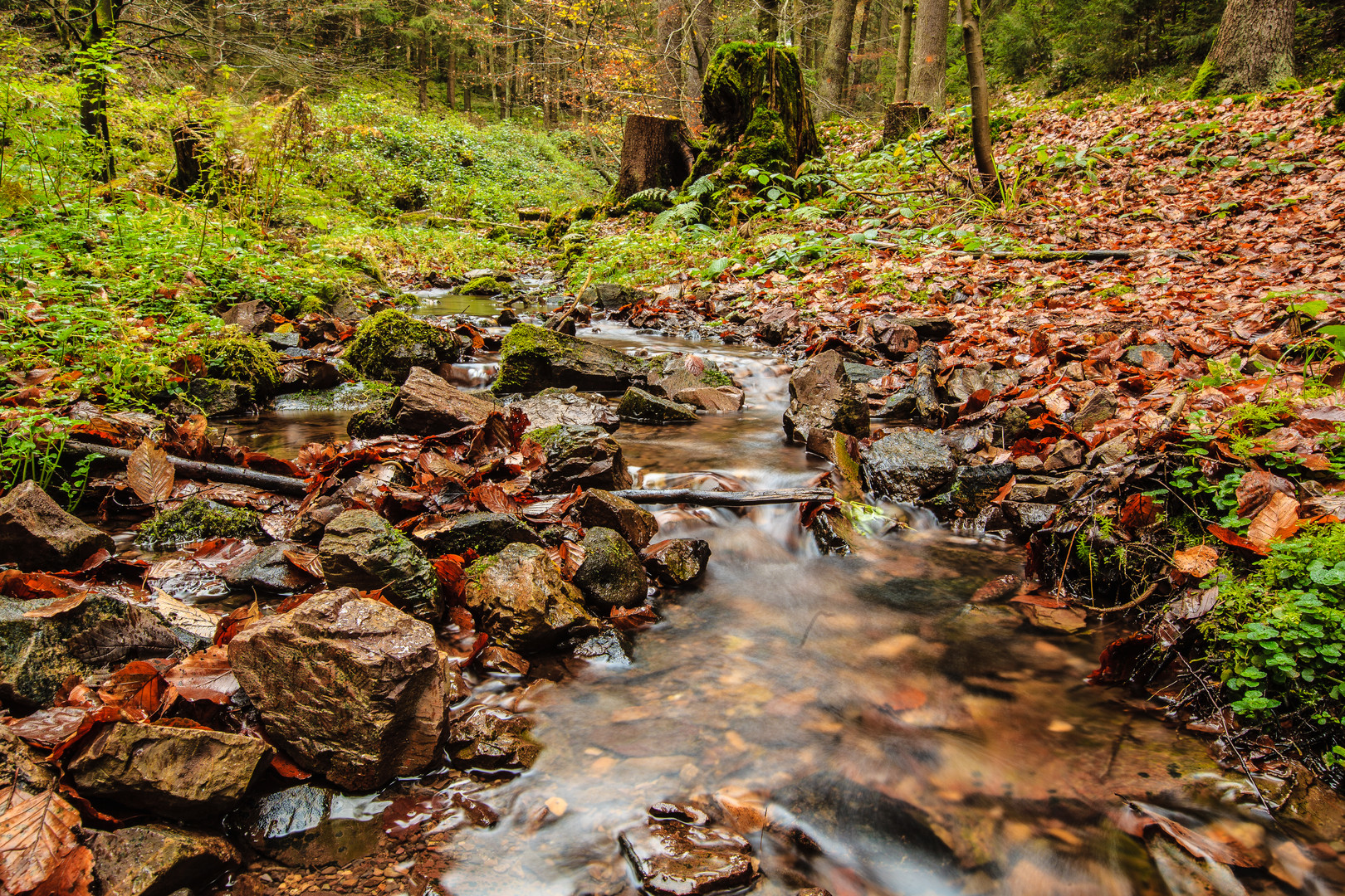 Bach bei Bad Sachsa im südlichen Harz