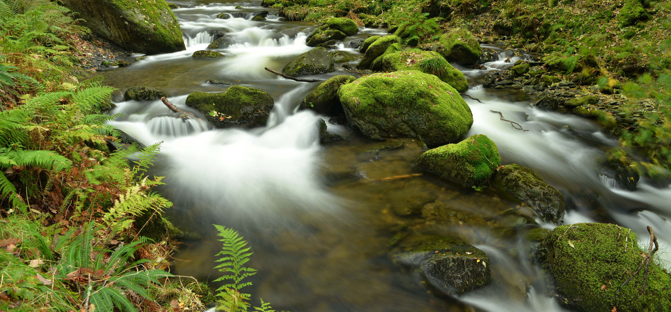 Bach bei Dol-goch