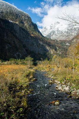 Bach bei Königssee