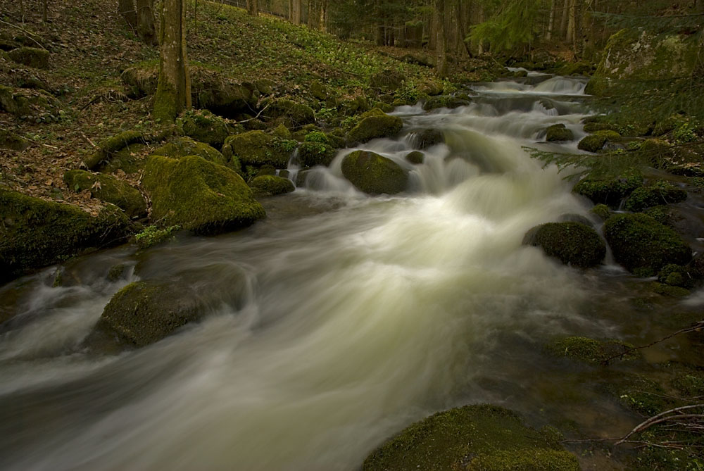 Bach bei Kostenz im Bayr. Wald