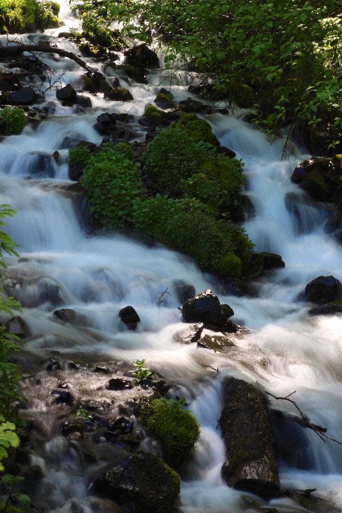 Bach bei Wahkeena Falls