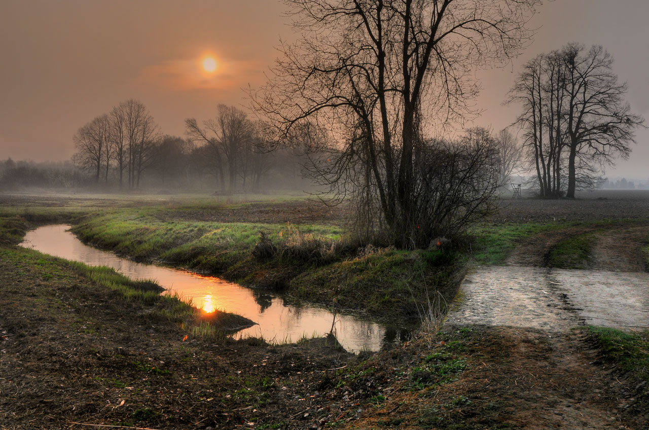 Bach, Brücke, Morgen