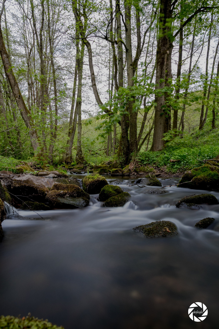 Bach & Felsen 