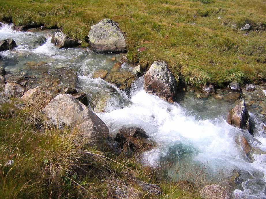 Bach ganz in der Nähe vom Flüelapass