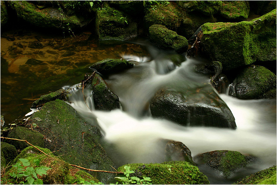 Bach im Bayerwald