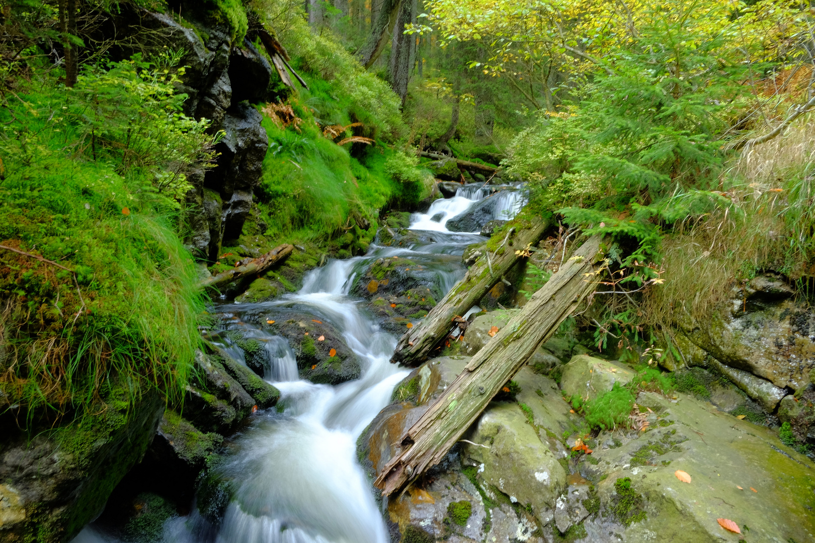 Bach im Bayrischen Wald Foto & Bild | wald, wasser, natur Bilder auf