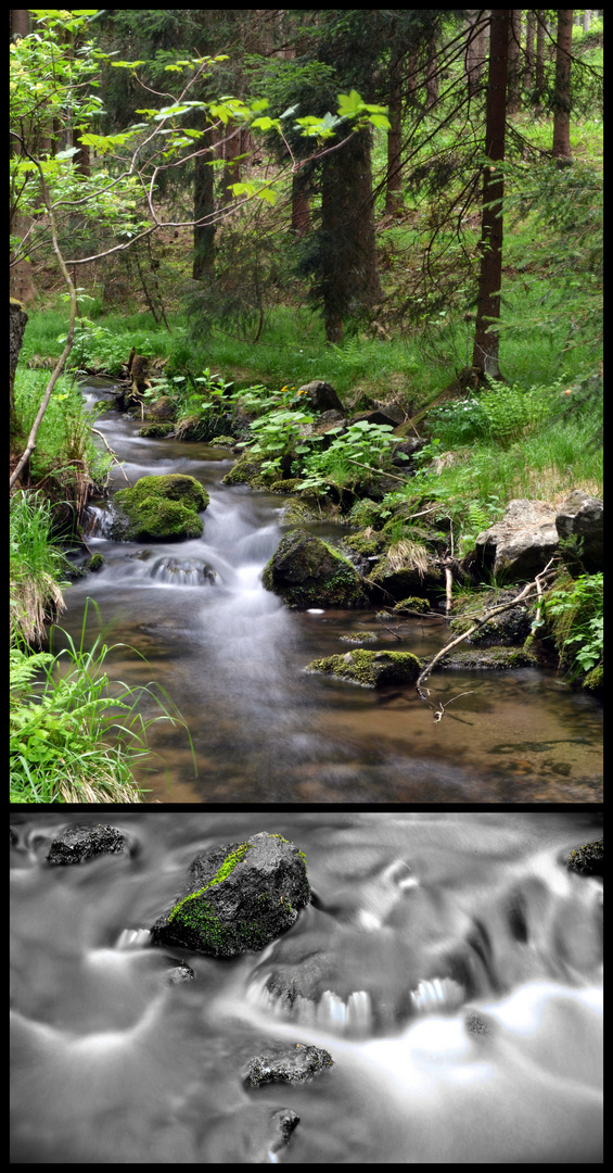 Bach im Böhmerwald