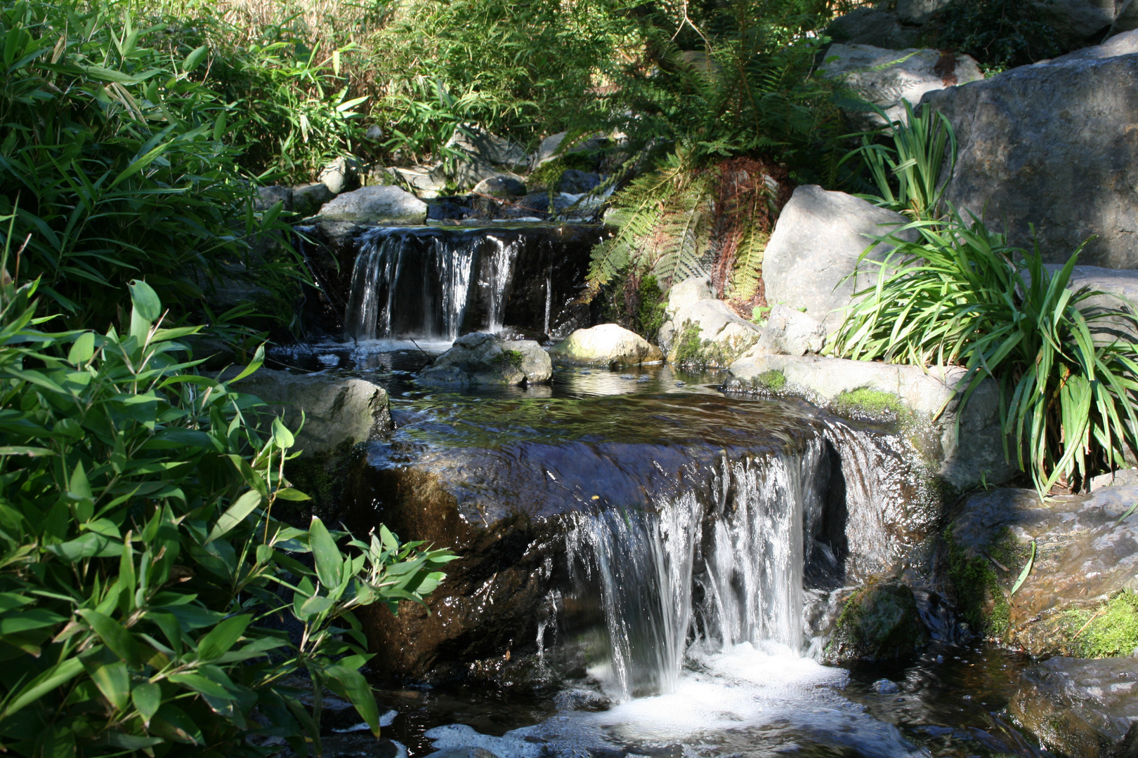 Bach im Chinesischen Garten