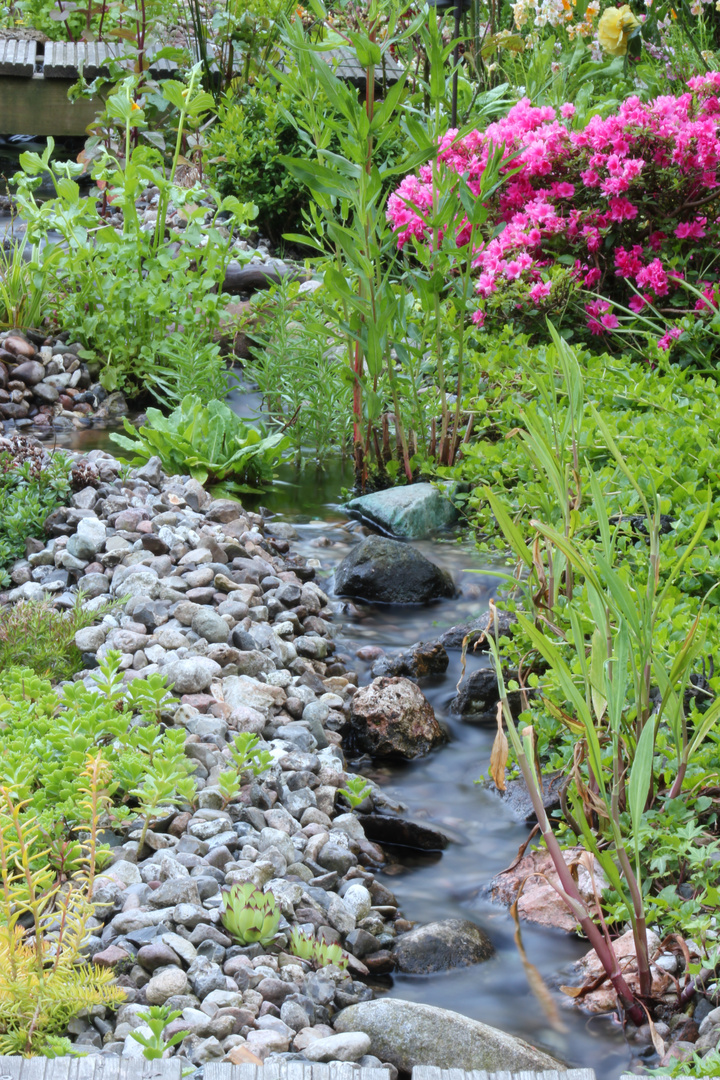 Bach im Garten Foto & Bild landschaft, garten