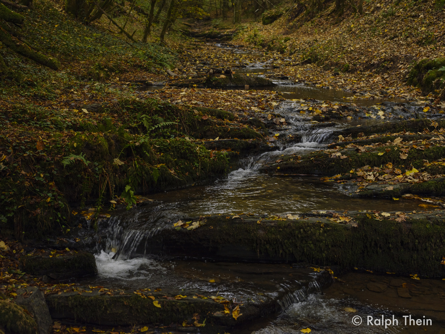 Bach im Herbst