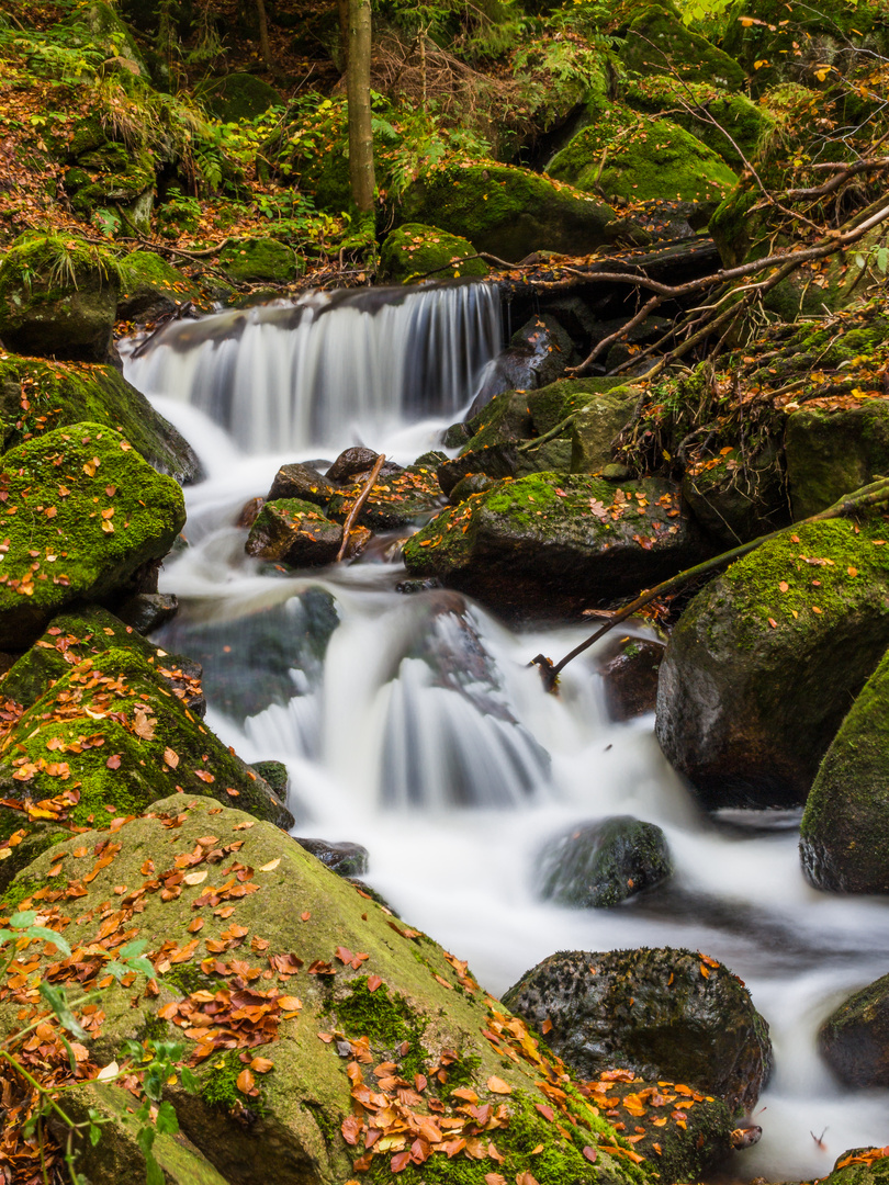 Bach im Herbst