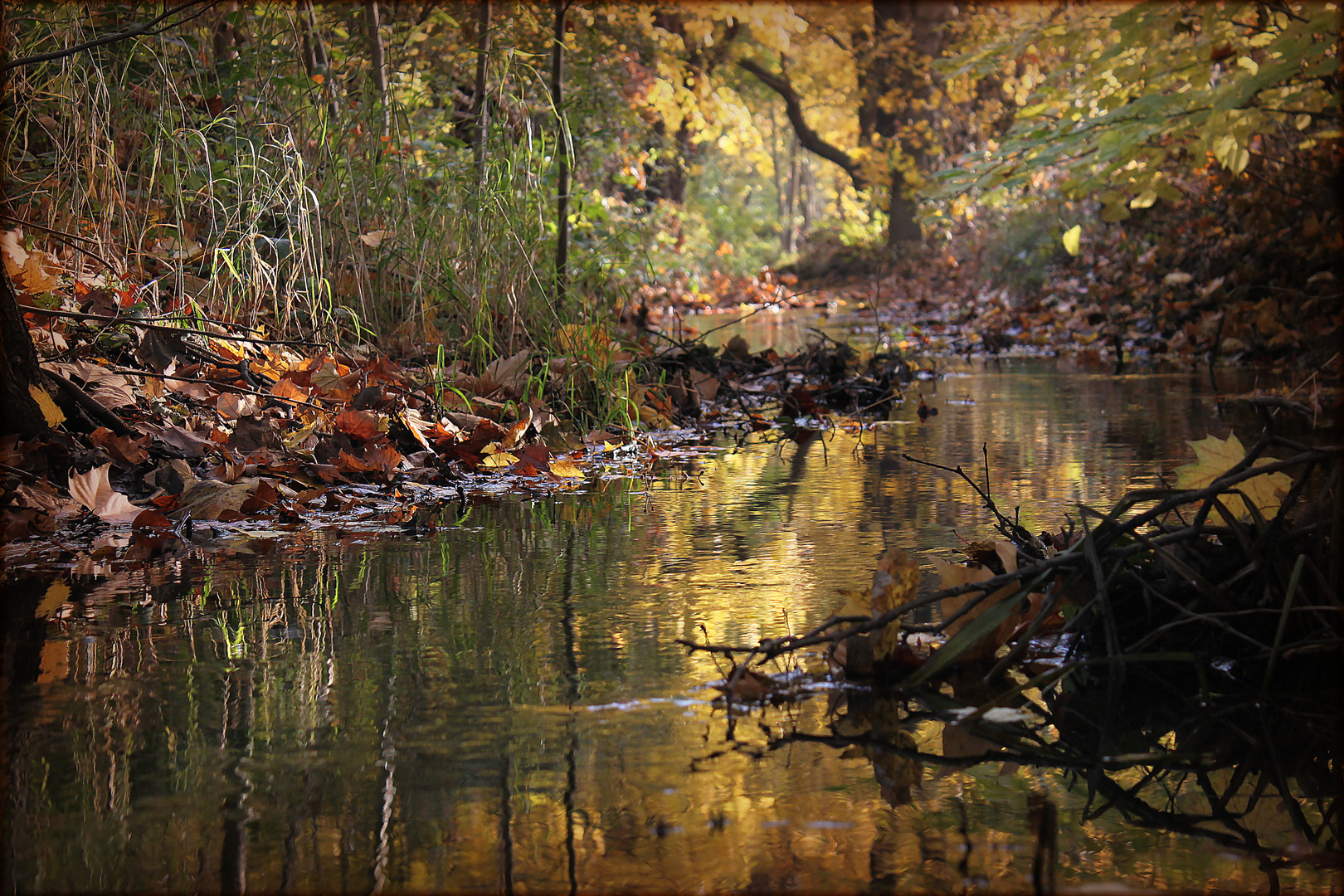 Bach im Herbst