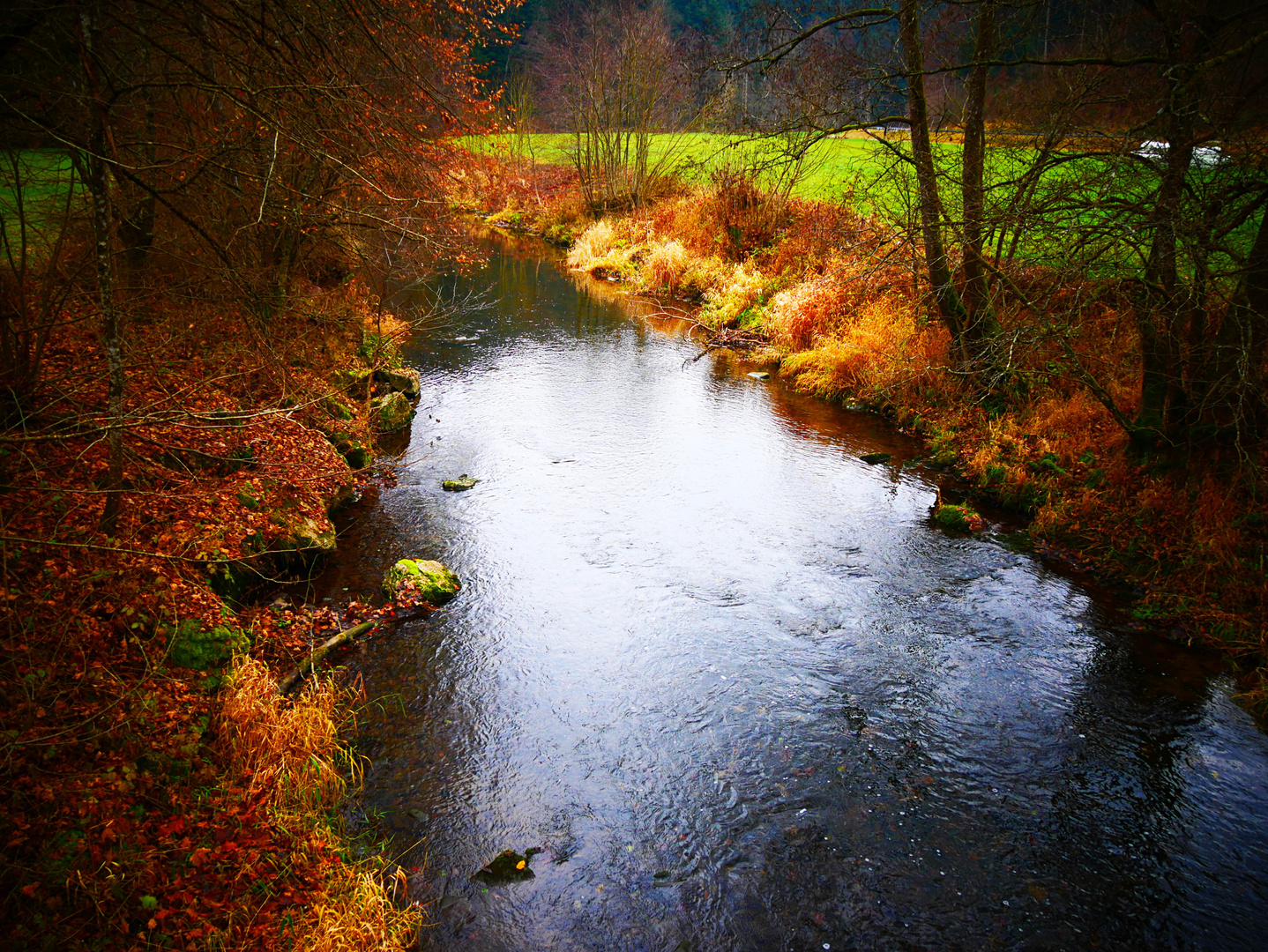 Bach im Herbst