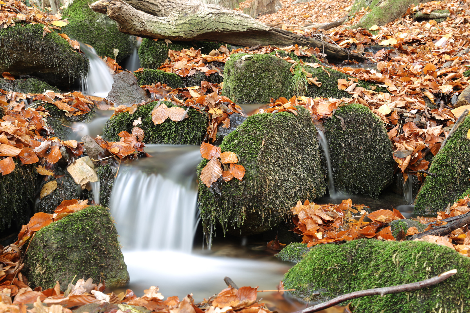 Bach im Herbst