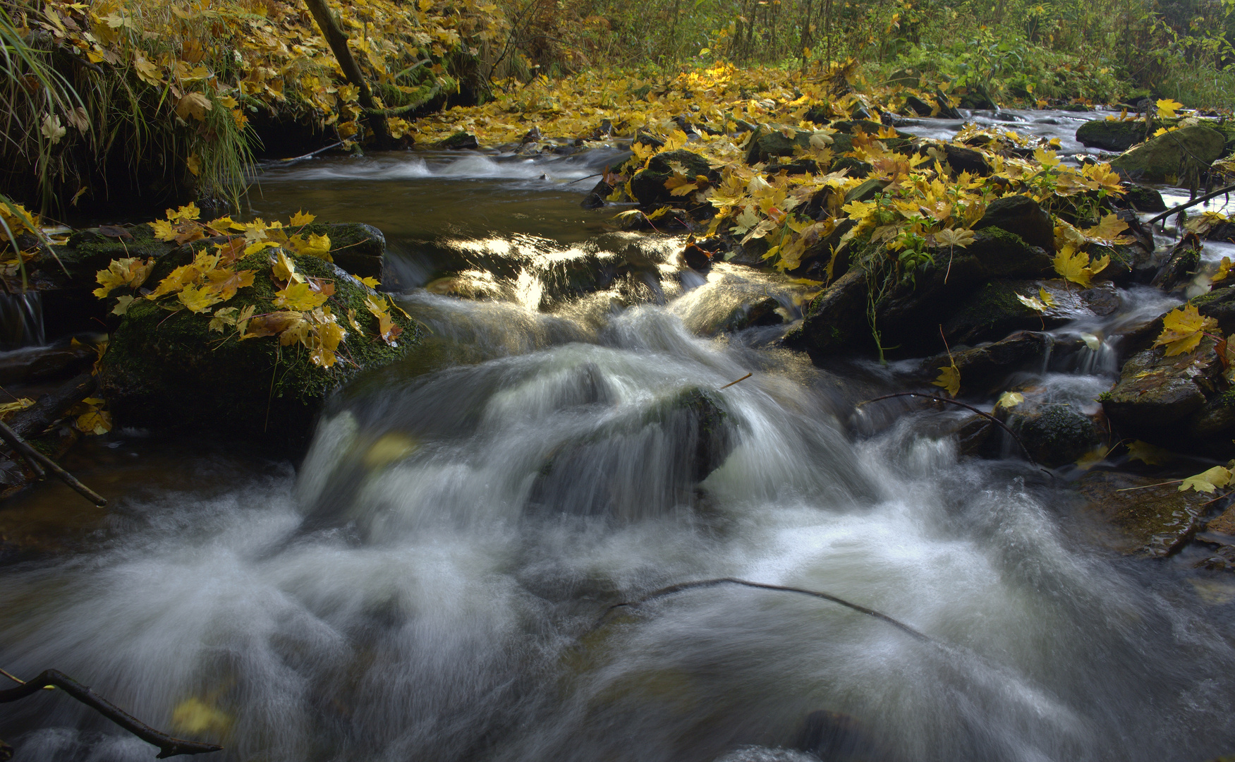 Bach im Herbst