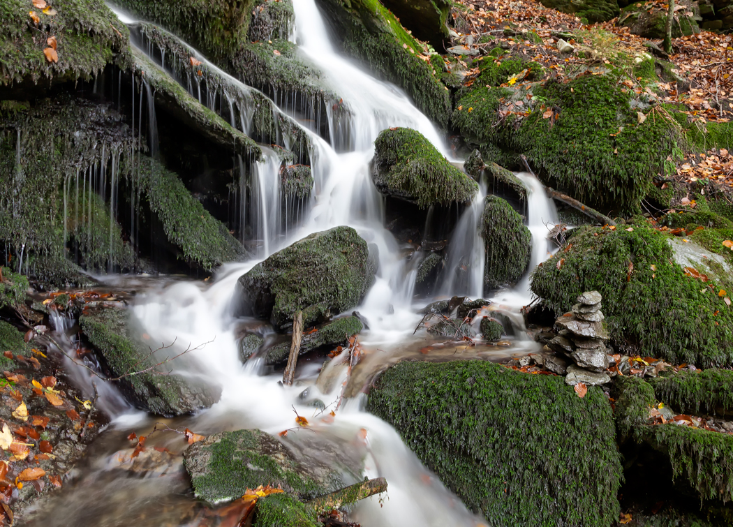 Bach im Herbstwald