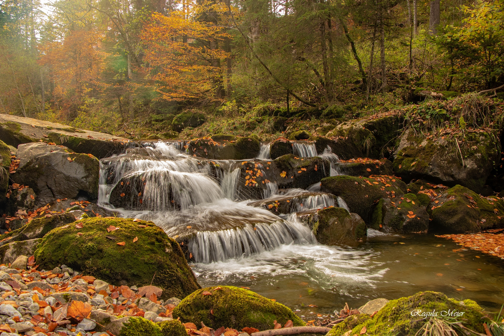 Bach im Herbstwald