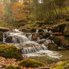 Bach im Herbstwald