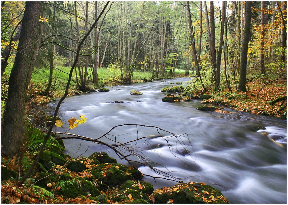 Bach im Herbstwald II