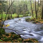 Bach im Herbstwald II