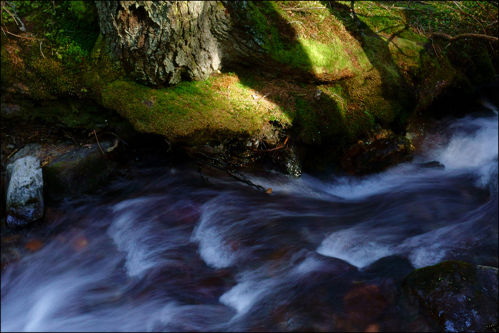 Bach im Hochwald