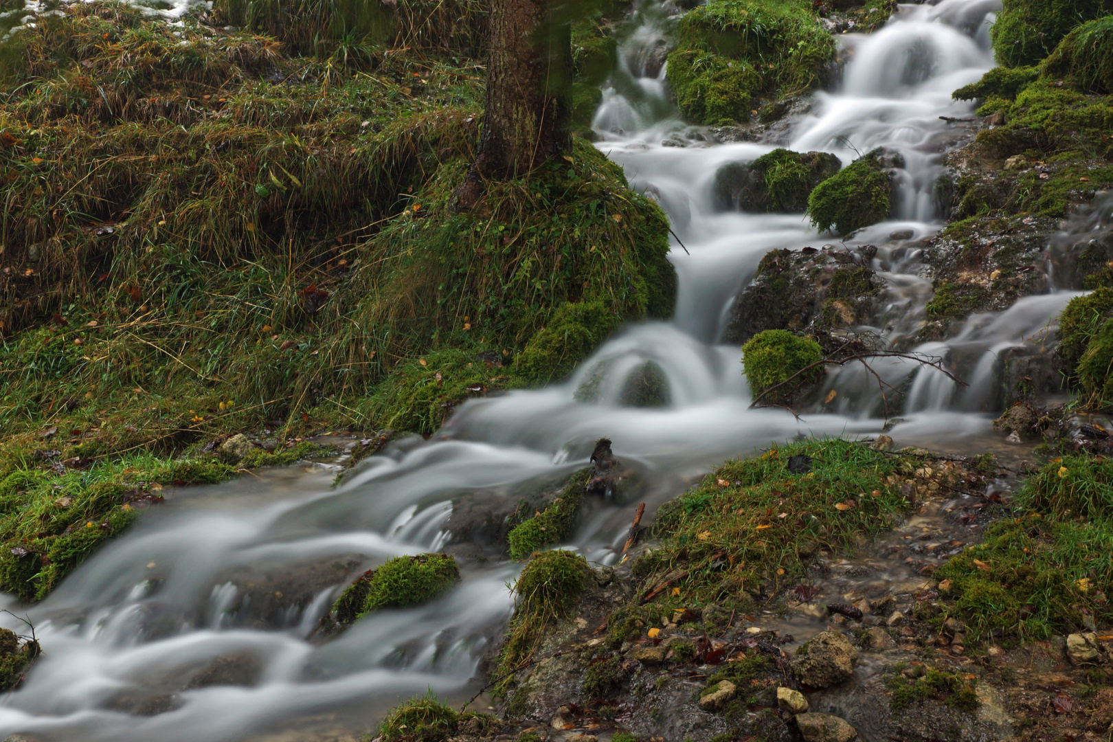 Bach im Jura