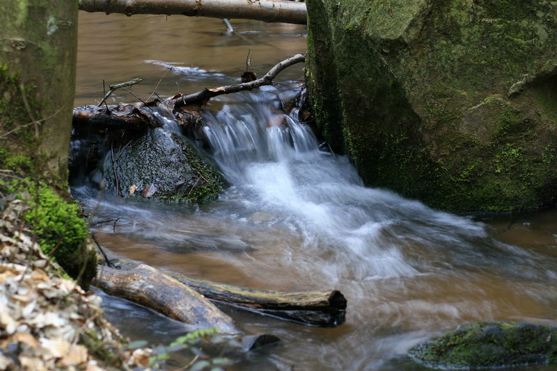 Bach im Pfälzer Wald bei Gimmdingen