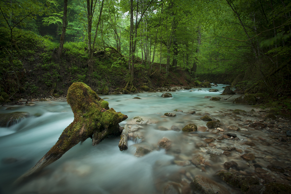 Bach im Regen