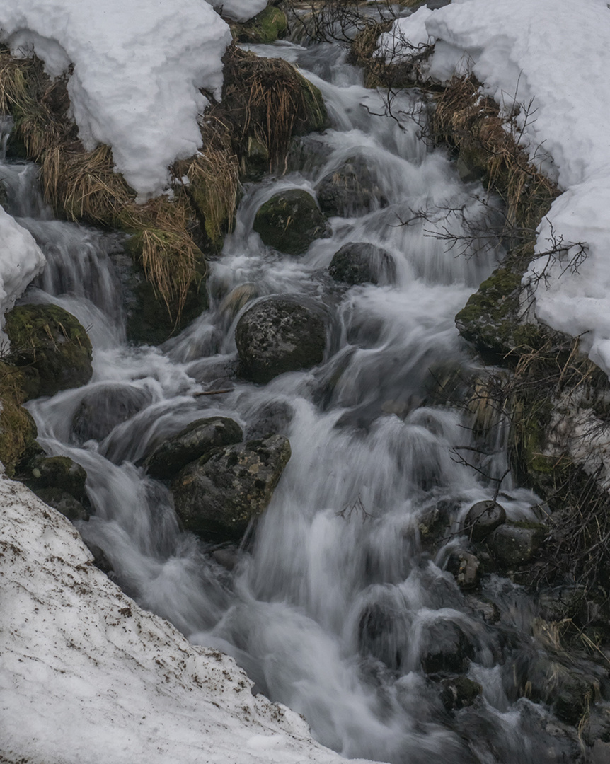 Bach im Schnee