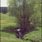 Bach im Schwarzwald