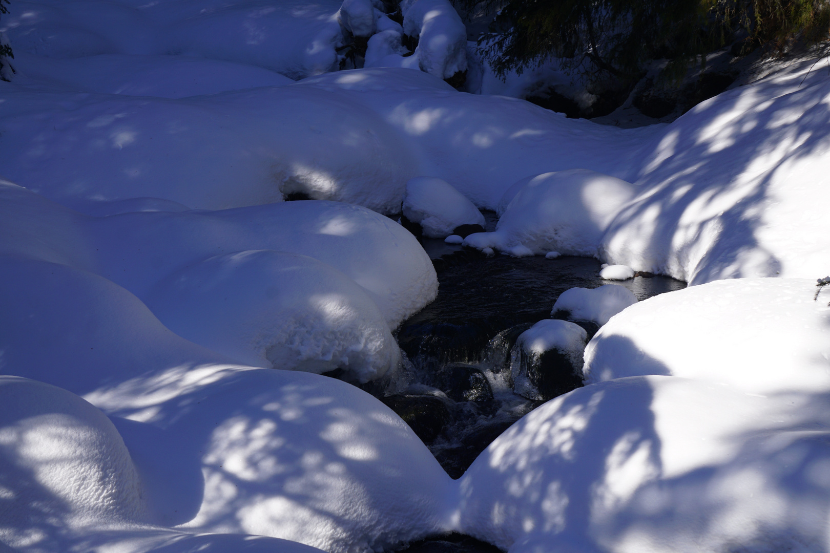 Bach im verschneiten Wald