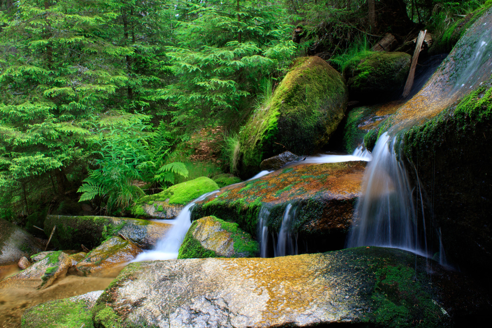 Bach im Wald Foto & Bild | wald, natur, langzeitbelichtung Bilder auf