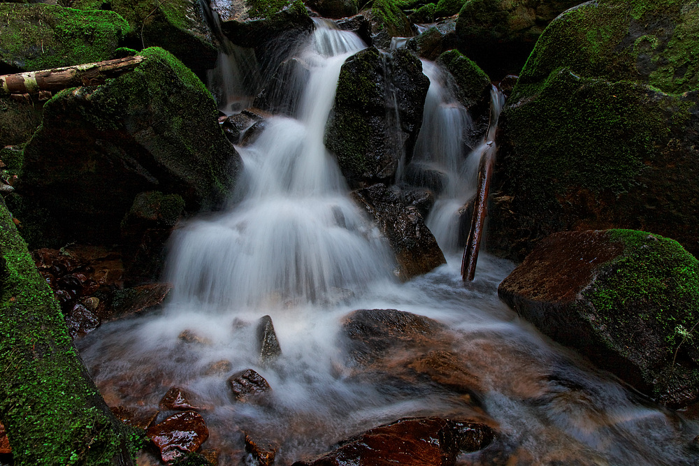 Bach im Wald