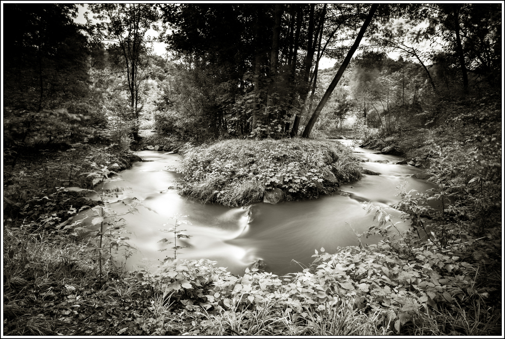 Bach im Wald