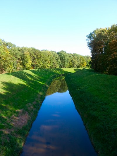 Bach im Wald