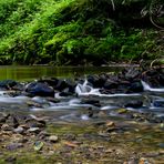 Bach im Wald