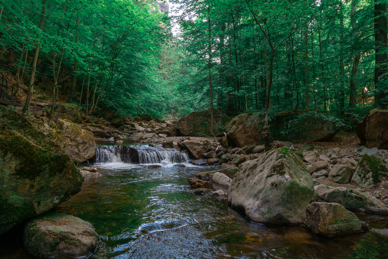 Bach im Wald